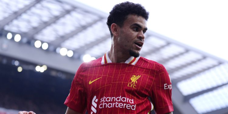 Liverpool winger Luis Diaz (Imagn)