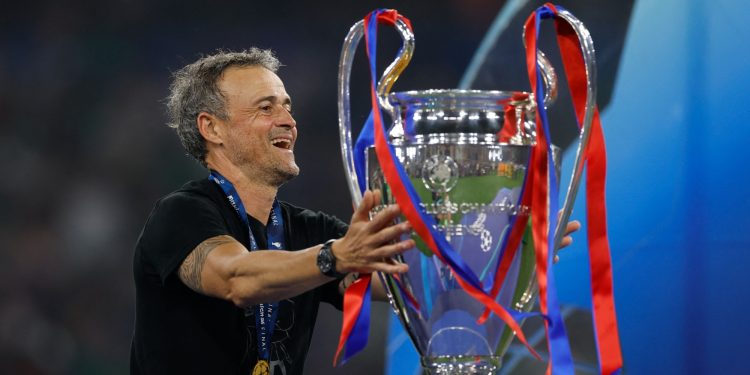 Luis Enrique guided PSG to their first Champions League title (Reuters)