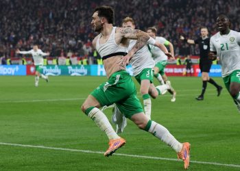 Troy Parrott celebrates scoring the winner vs Hungary (Reuters)