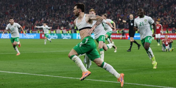 Troy Parrott celebrates scoring the winner vs Hungary (Reuters)